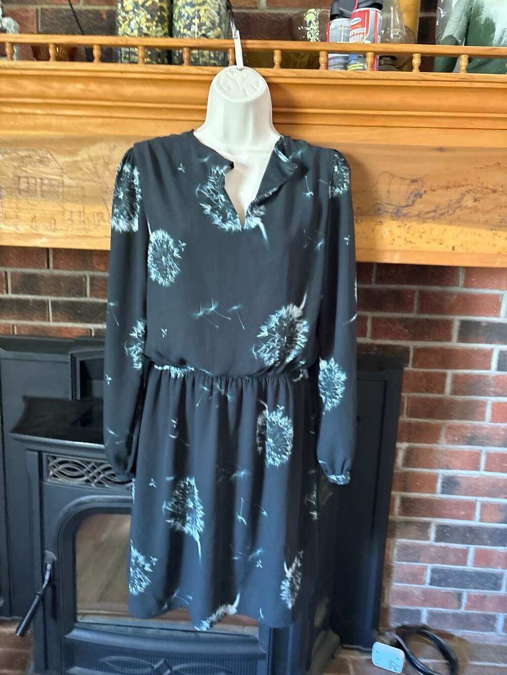 Express Long Sleeve Dandelion Print Keyhole Neck Elastic Waist Dress